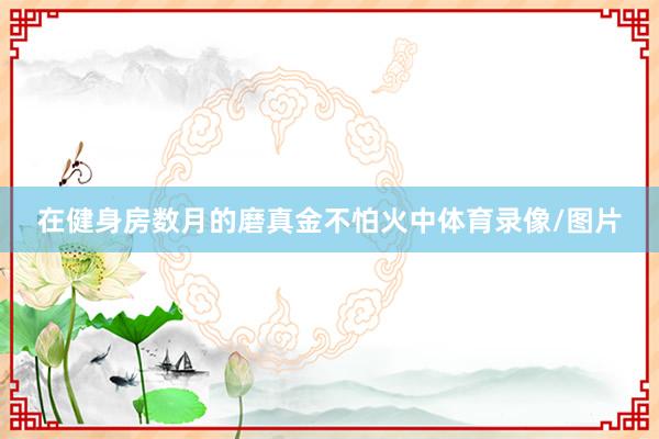 在健身房数月的磨真金不怕火中体育录像/图片