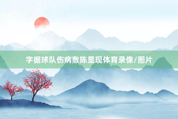 字据球队伤病敷陈显现体育录像/图片