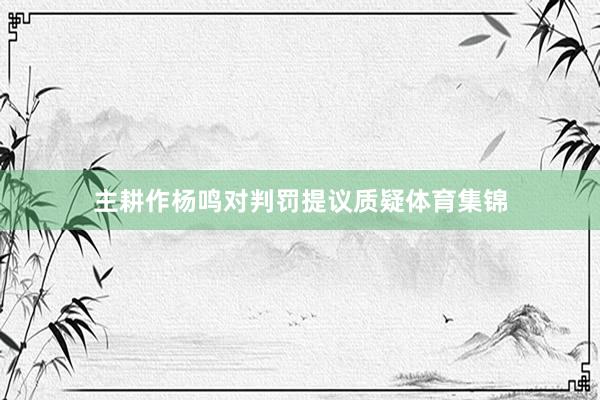 主耕作杨鸣对判罚提议质疑体育集锦