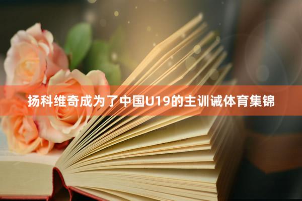 扬科维奇成为了中国U19的主训诫体育集锦