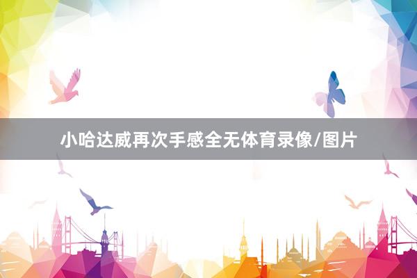 小哈达威再次手感全无体育录像/图片