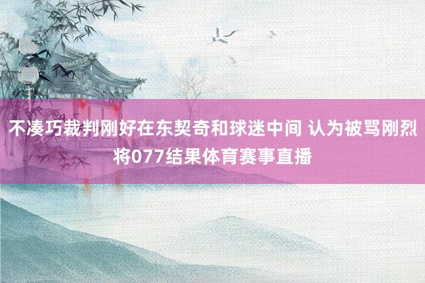 不凑巧裁判刚好在东契奇和球迷中间 认为被骂刚烈将077结果体育赛事直播