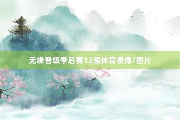无缘晋级季后赛12强体育录像/图片
