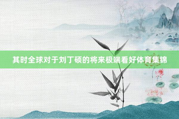 其时全球对于刘丁硕的将来极端看好体育集锦