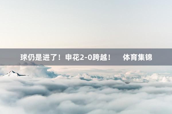 球仍是进了！申花2-0跨越！    体育集锦