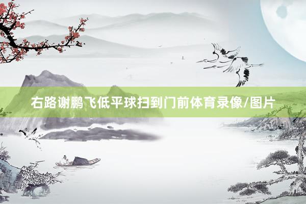 右路谢鹏飞低平球扫到门前体育录像/图片