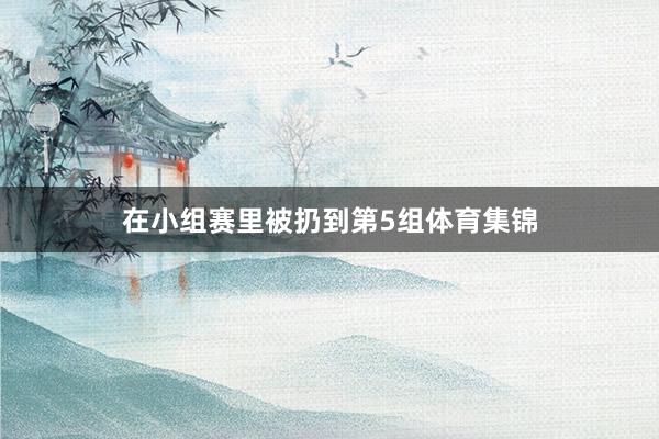 在小组赛里被扔到第5组体育集锦