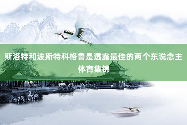 斯洛特和波斯特科格鲁是透露最佳的两个东说念主体育集锦