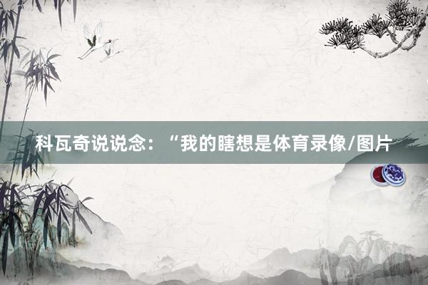 科瓦奇说说念：“我的瞎想是体育录像/图片