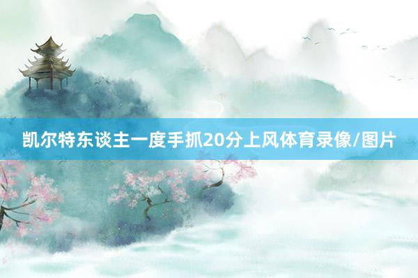 凯尔特东谈主一度手抓20分上风体育录像/图片
