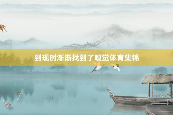 到现时渐渐找到了嗅觉体育集锦