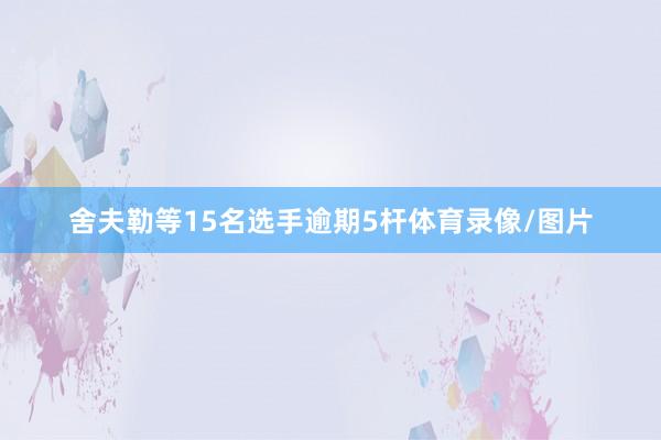 舍夫勒等15名选手逾期5杆体育录像/图片