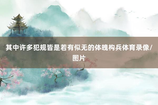 其中许多犯规皆是若有似无的体魄构兵体育录像/图片