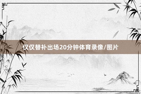 仅仅替补出场20分钟体育录像/图片