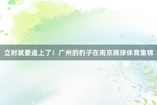 立时就要追上了！广州的豹子在南京踢球体育集锦