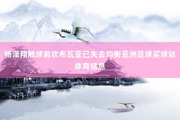 杨泽翔触球前坎布瓦亚已失去均衡亚洲足球买球站体育信息
