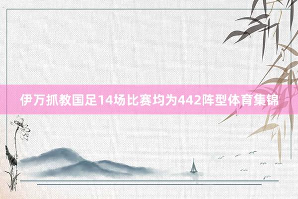 伊万抓教国足14场比赛均为442阵型体育集锦