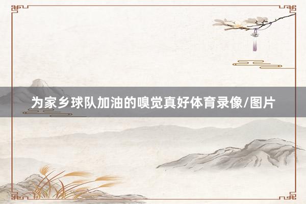 为家乡球队加油的嗅觉真好体育录像/图片