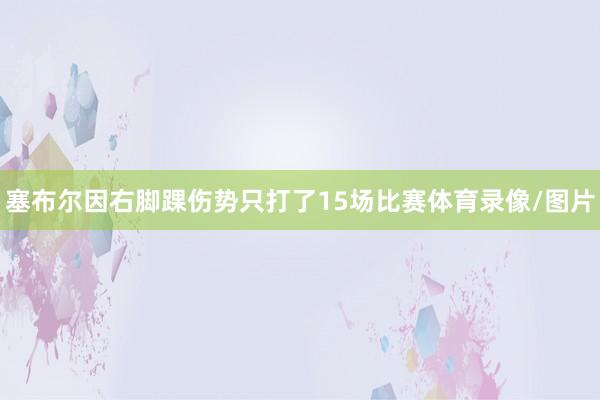 塞布尔因右脚踝伤势只打了15场比赛体育录像/图片
