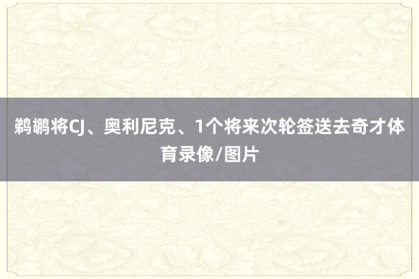 鹈鹕将CJ、奥利尼克、1个将来次轮签送去奇才体育录像/图片