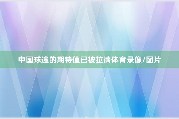 中国球迷的期待值已被拉满体育录像/图片