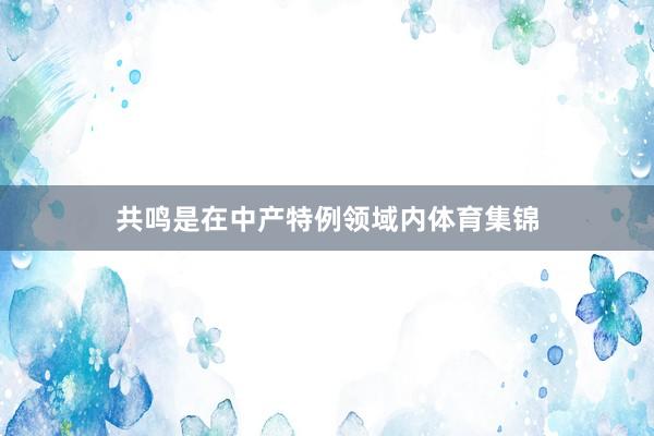共鸣是在中产特例领域内体育集锦