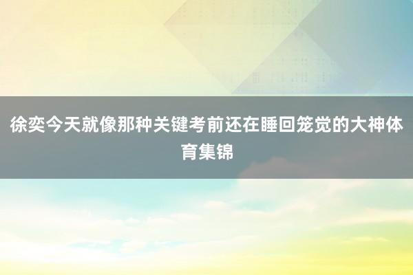 徐奕今天就像那种关键考前还在睡回笼觉的大神体育集锦