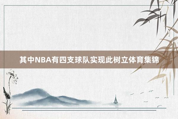其中NBA有四支球队实现此树立体育集锦
