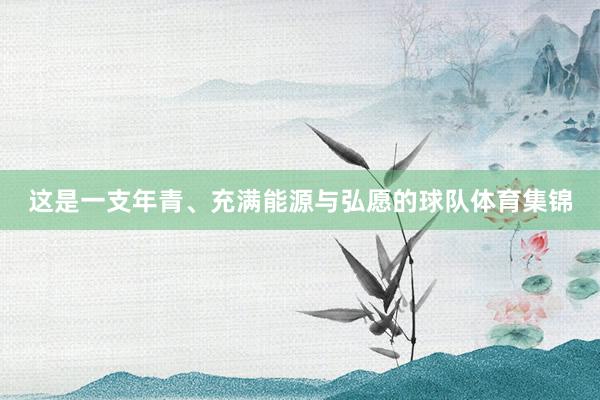 这是一支年青、充满能源与弘愿的球队体育集锦