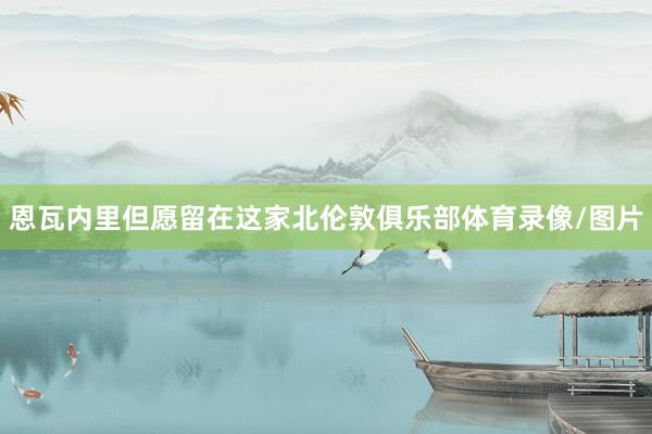 恩瓦内里但愿留在这家北伦敦俱乐部体育录像/图片