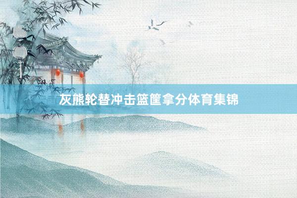 灰熊轮替冲击篮筐拿分体育集锦