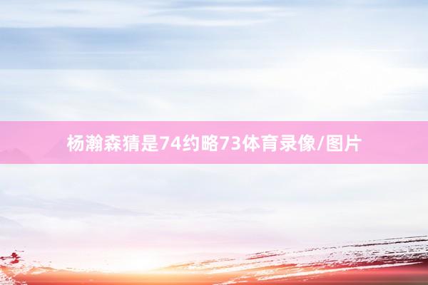 杨瀚森猜是74约略73体育录像/图片
