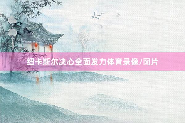 纽卡斯尔决心全面发力体育录像/图片