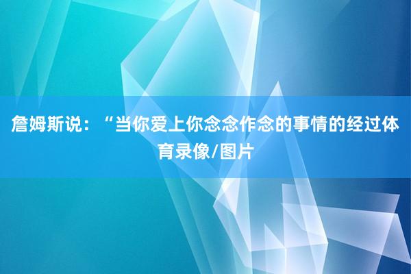 詹姆斯说：“当你爱上你念念作念的事情的经过体育录像/图片