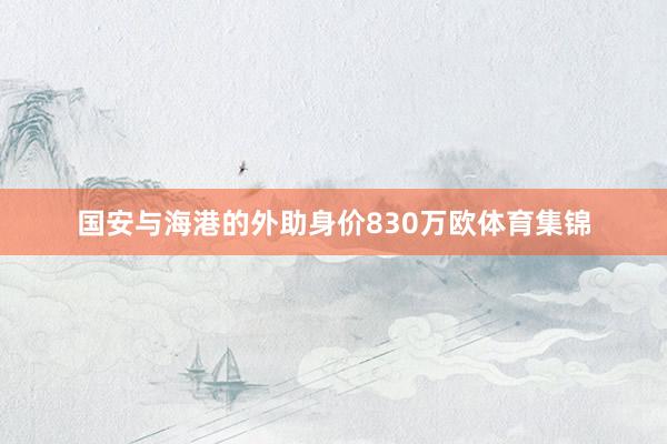 国安与海港的外助身价830万欧体育集锦