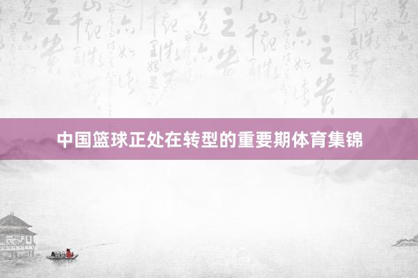中国篮球正处在转型的重要期体育集锦