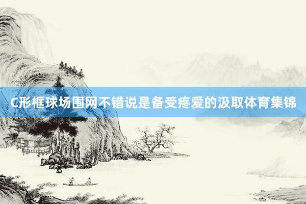 C形框球场围网不错说是备受疼爱的汲取体育集锦