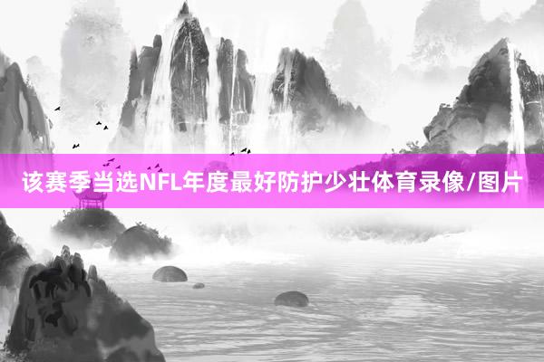 该赛季当选NFL年度最好防护少壮体育录像/图片
