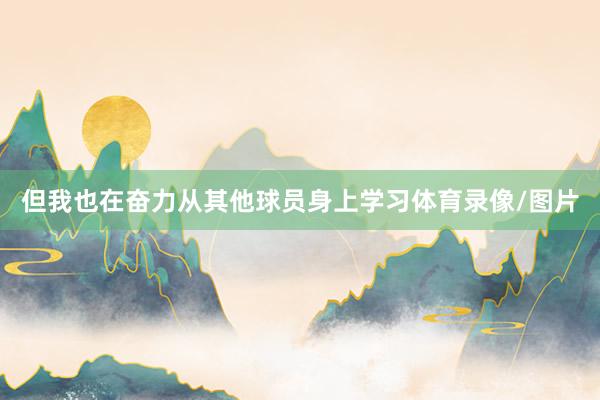 但我也在奋力从其他球员身上学习体育录像/图片