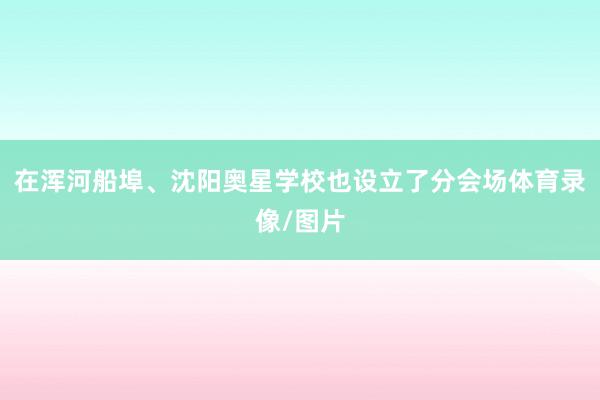 在浑河船埠、沈阳奥星学校也设立了分会场体育录像/图片