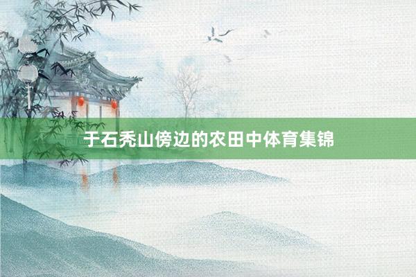 于石秃山傍边的农田中体育集锦