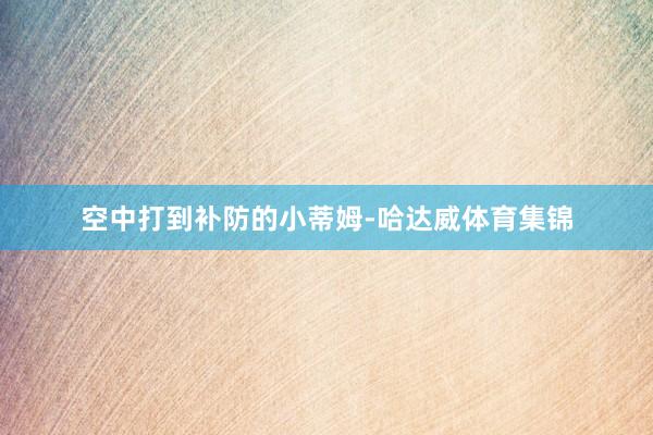 空中打到补防的小蒂姆-哈达威体育集锦