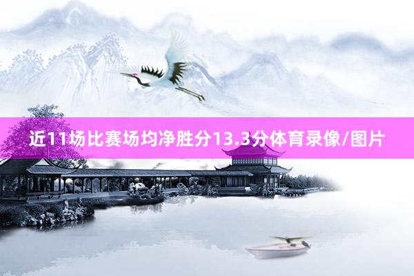 近11场比赛场均净胜分13.3分体育录像/图片