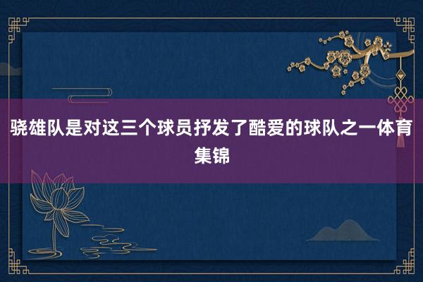 骁雄队是对这三个球员抒发了酷爱的球队之一体育集锦