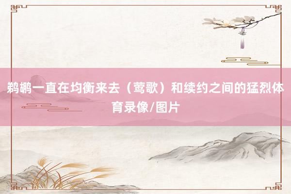 鹈鹕一直在均衡来去（莺歌）和续约之间的猛烈体育录像/图片