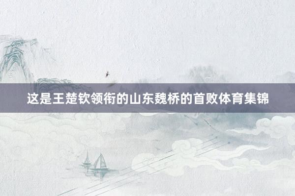 这是王楚钦领衔的山东魏桥的首败体育集锦