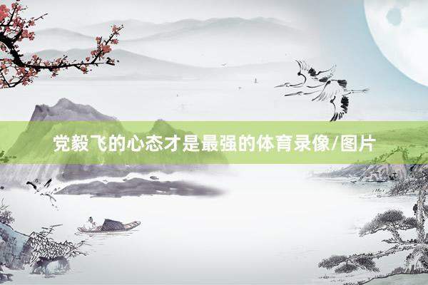 党毅飞的心态才是最强的体育录像/图片