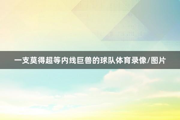 一支莫得超等内线巨兽的球队体育录像/图片