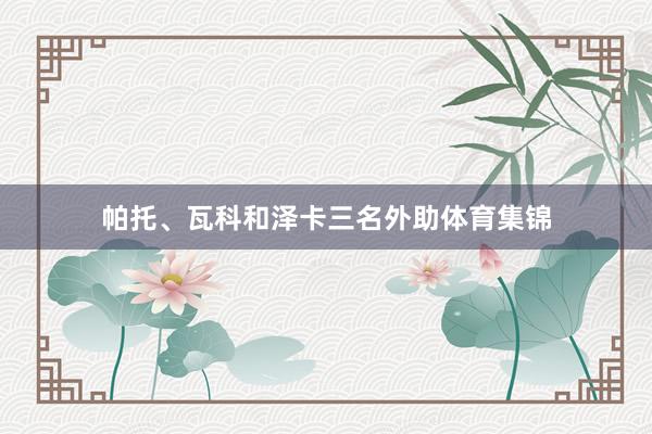 帕托、瓦科和泽卡三名外助体育集锦