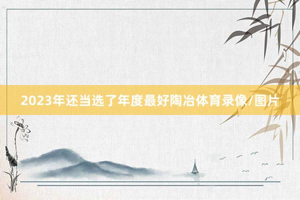 2023年还当选了年度最好陶冶体育录像/图片